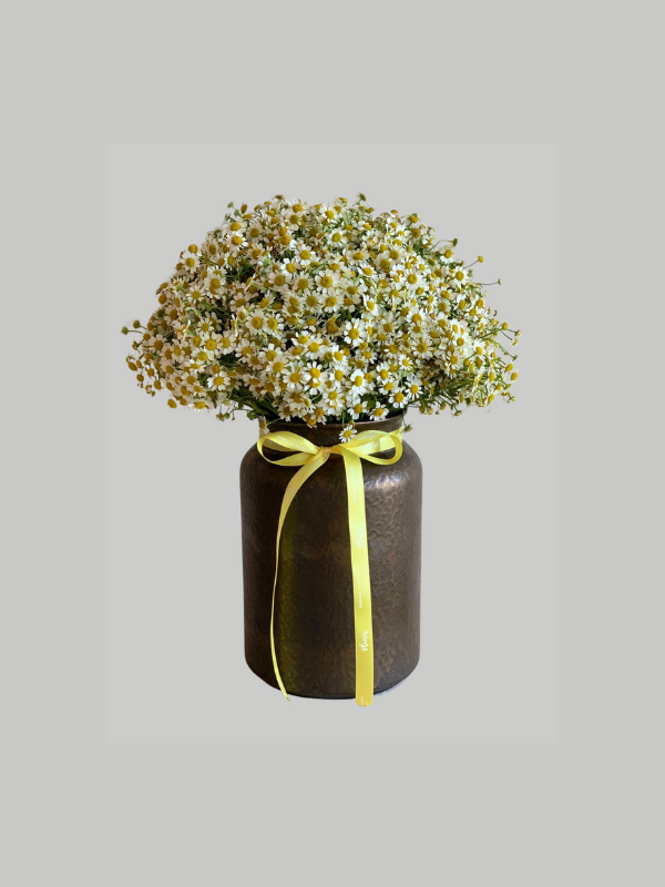 Vase Rustic - Chamomile Love