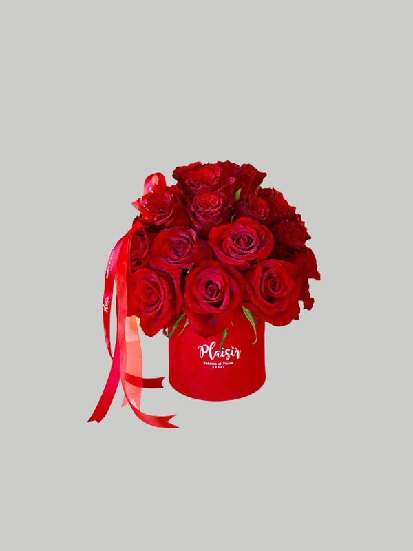 Velvet Cylinder Mini - Circle of Love Red Rose Dome