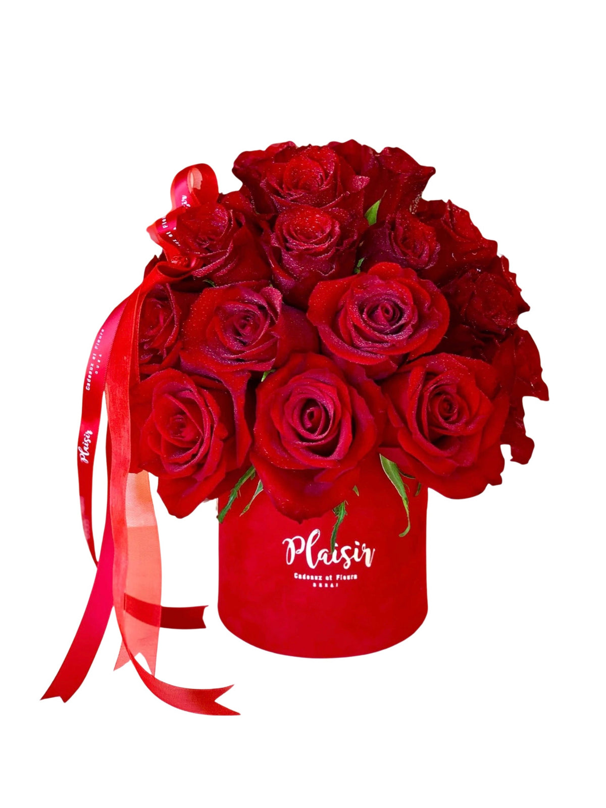 اسطوانة مخملية صغيرة - دائرة الحب قبة الوردة الحمراء