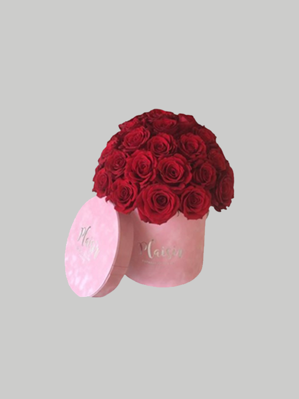 Velvet Cylinder - Red Rose Dome on Pink