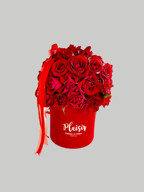 Velvet Cylinder - Red Rose Dome