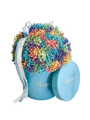 Velvet Gypso - Large Rainbow