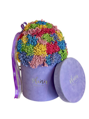 Velvet Gypso - Large Rainbow