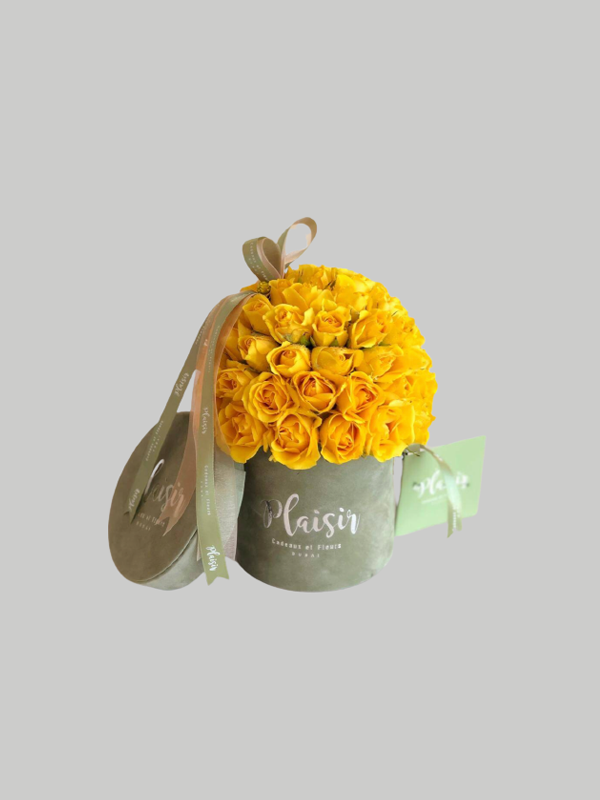 Velvet Cylinder Mini - Yellow Rose Dome