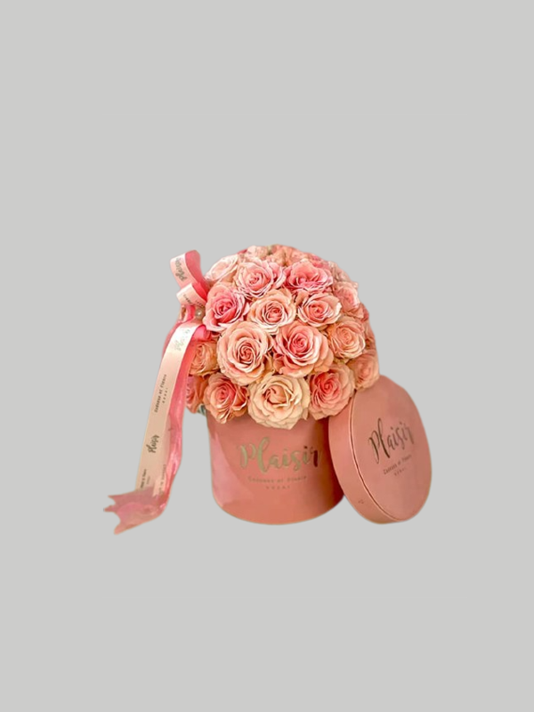 Velvet Cylinder Mini - Pink Rose Dome on Pink