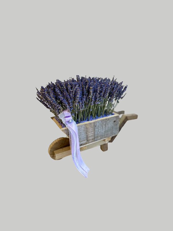 Dried Flowers -  Wheelbarrow Lavender