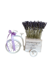 تنسيقة دراجات هوائية - لافندر