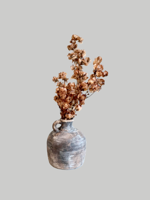 Dried Flowers - Bogainvillea in Rustic Vase