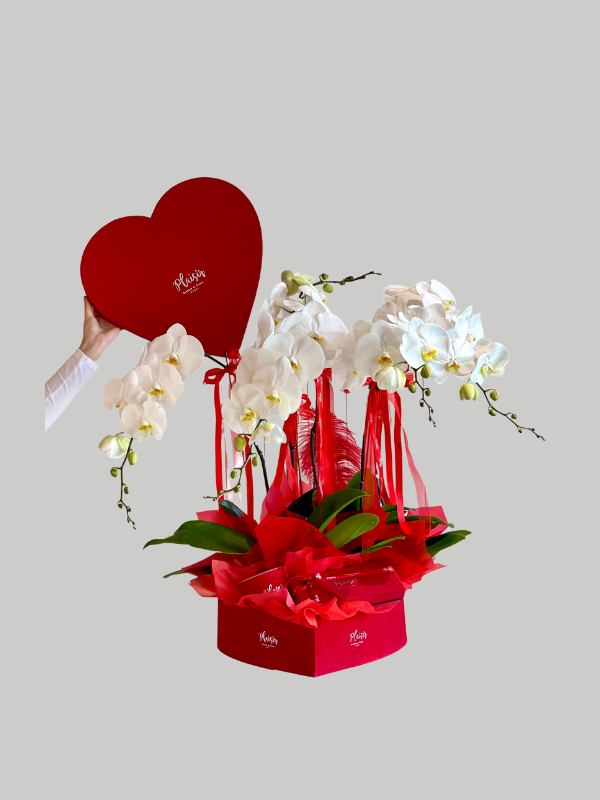 Velvet Heart Box - Orchids, Choco and Candle Red