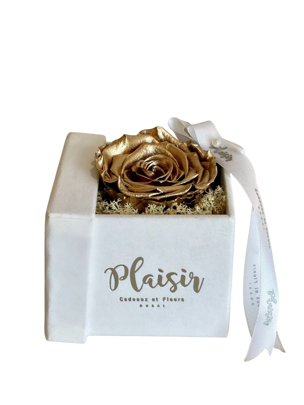 وردة فوريفر إنفينيتي - لون ذهبي واحد على أبيض