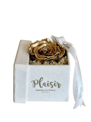 وردة فوريفر إنفينيتي - لون ذهبي واحد على أبيض