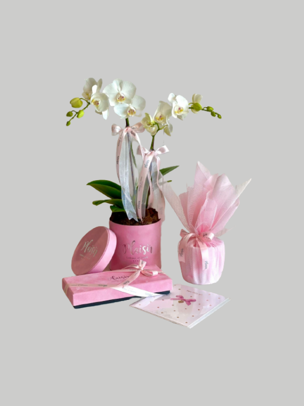 Giftset - Mini Orchid Baby Girl with Card