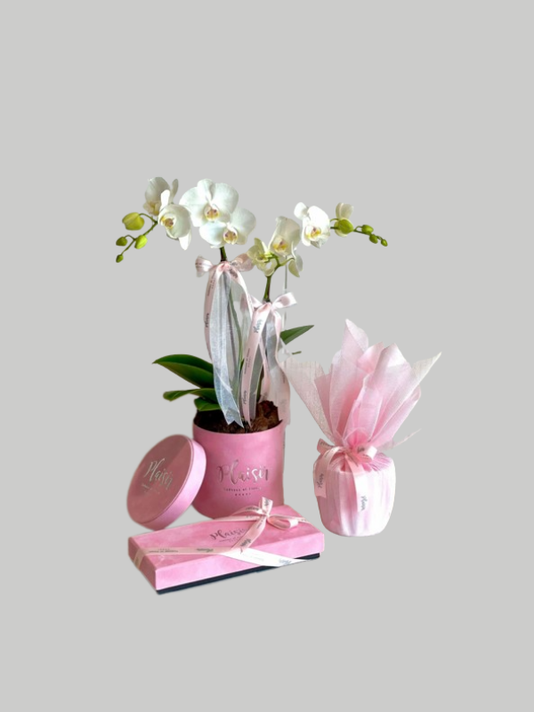 Giftset - Mini Orchid For Her