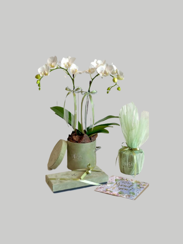 Giftset - Mini Orchid Proud of You with Card