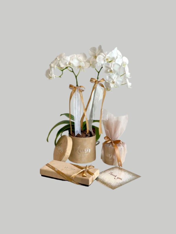 Giftset - Mini Orchid Thank You with Card