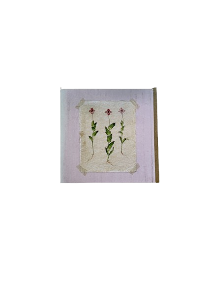 Greeting Card - Blank Flower Trio