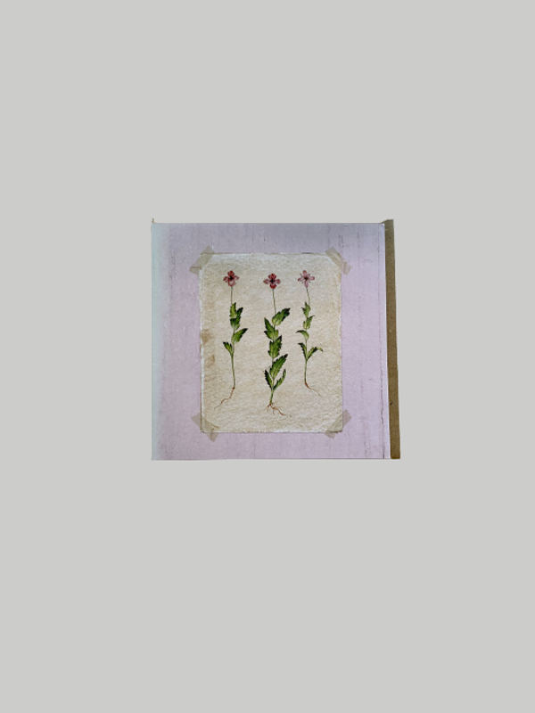 Greeting Card - Blank Flower Trio