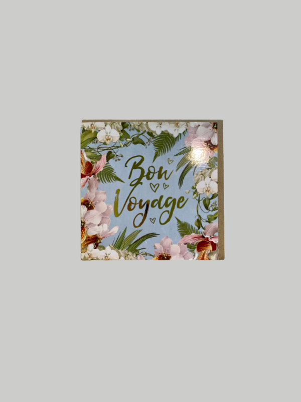 Greeting Card - Bon Voyage