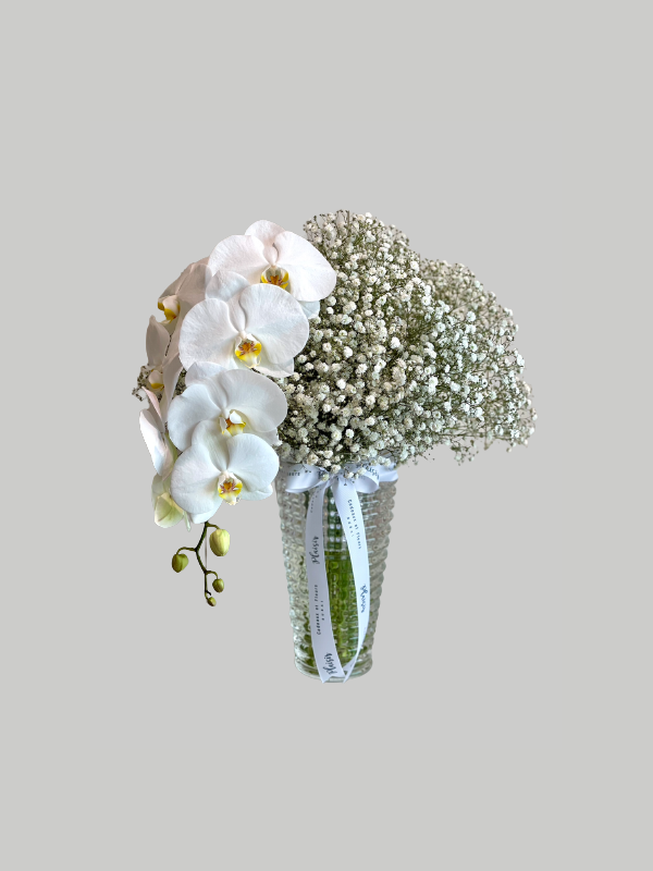 Vase - Gypsophilia and Orchid Large Criss Cut