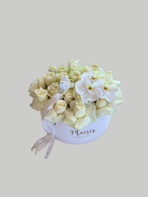 Velvet Hatbox - Flexed White Roses on White