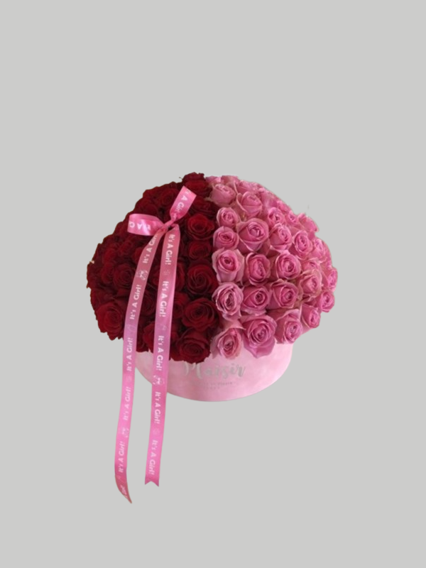 Velvet Hatbox - Half Pink Half Red Roses