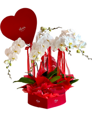 Velvet Heart Box - Luxury Orchid Giftset