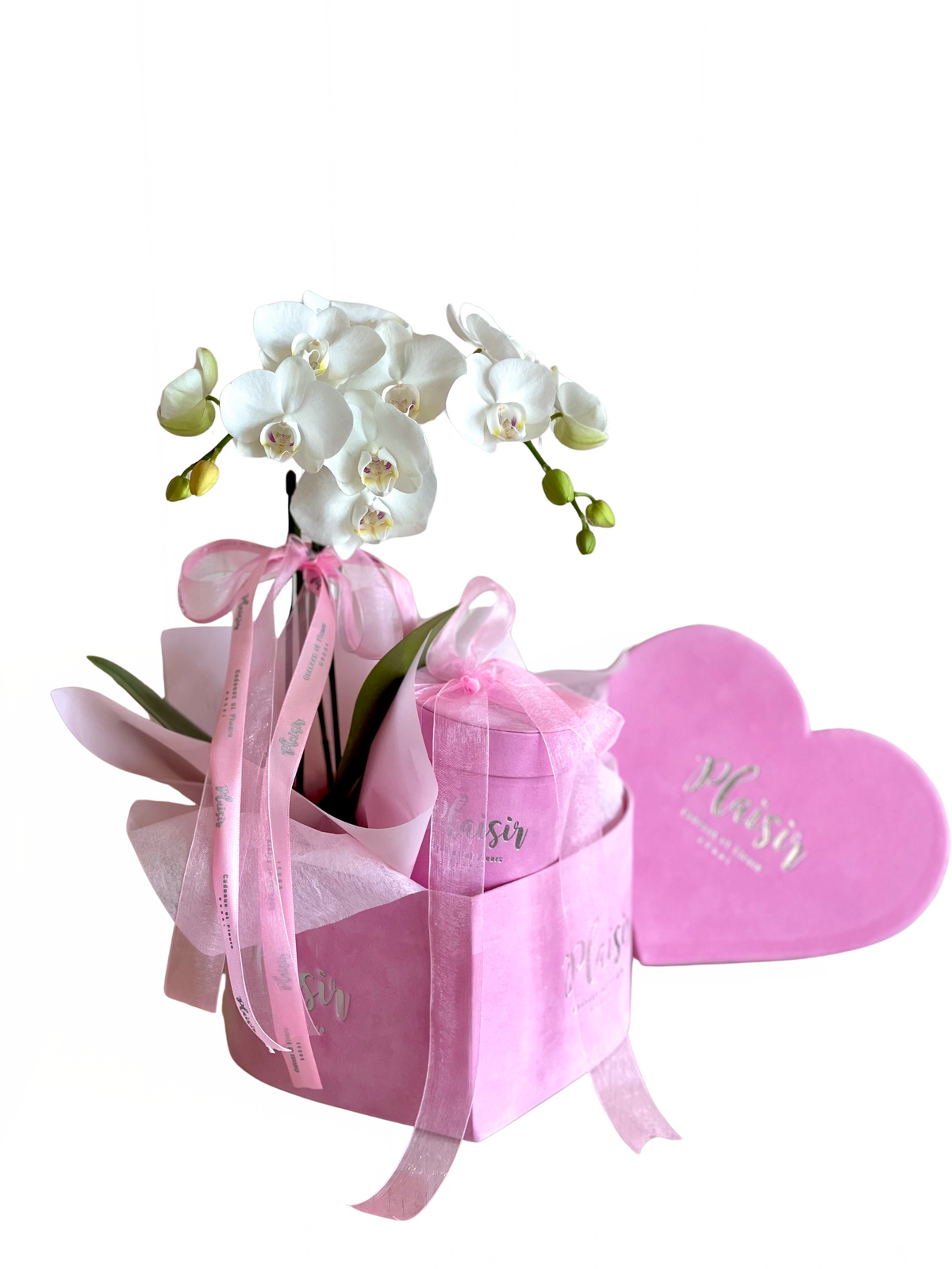 صندوق قلب مخملي - زهرة أوركيد صغيرة وشوكولاتة باللون الوردي