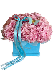 Velvet Square - Hydrangeas