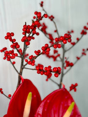 Buy Christmas - Anthurium Flower Boat
