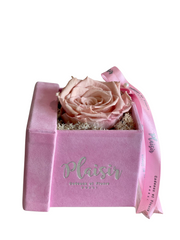Luxury Orchids & Abaya Gift Tray