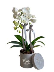 Luxury Eid Gift Tray in Grey (Large)