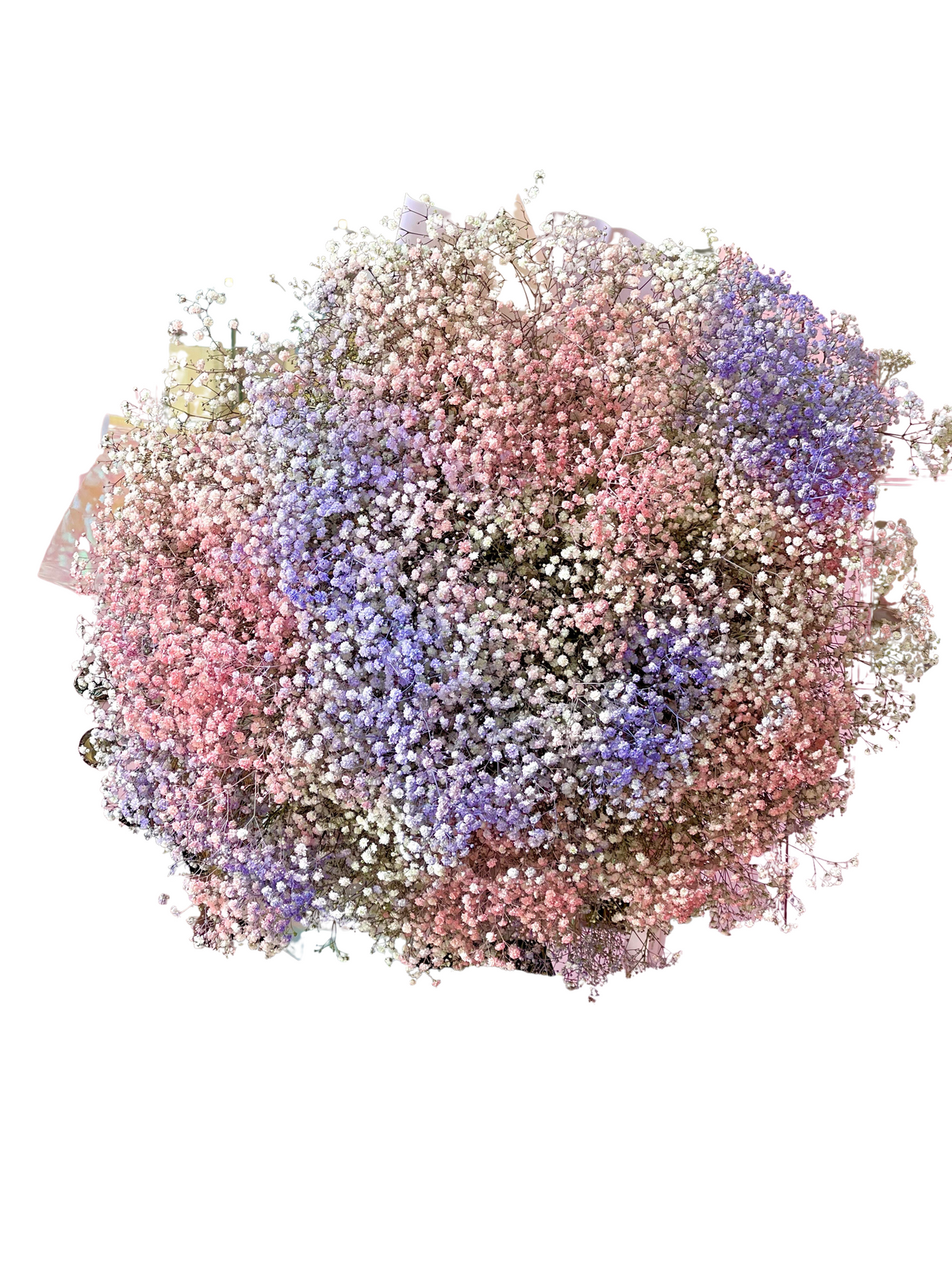 Hand-Tied Bouquet - Gypso Rainbow Of Love