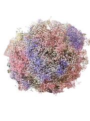 Hand-Tied Bouquet - Gypso Rainbow Of Love