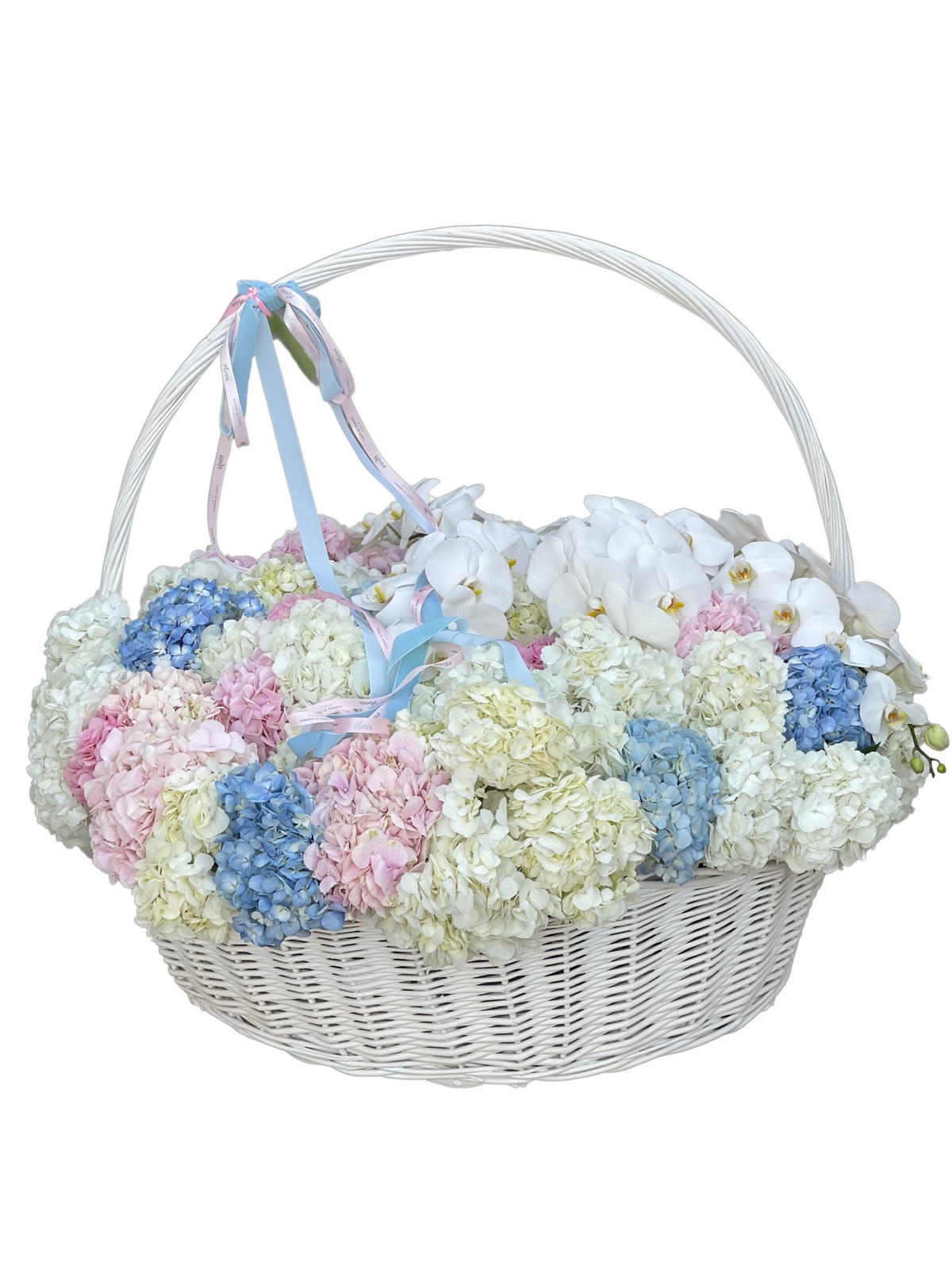 سلة فاخرة من زهور الكوبية والأوركيد (حوالي متر واحد!)