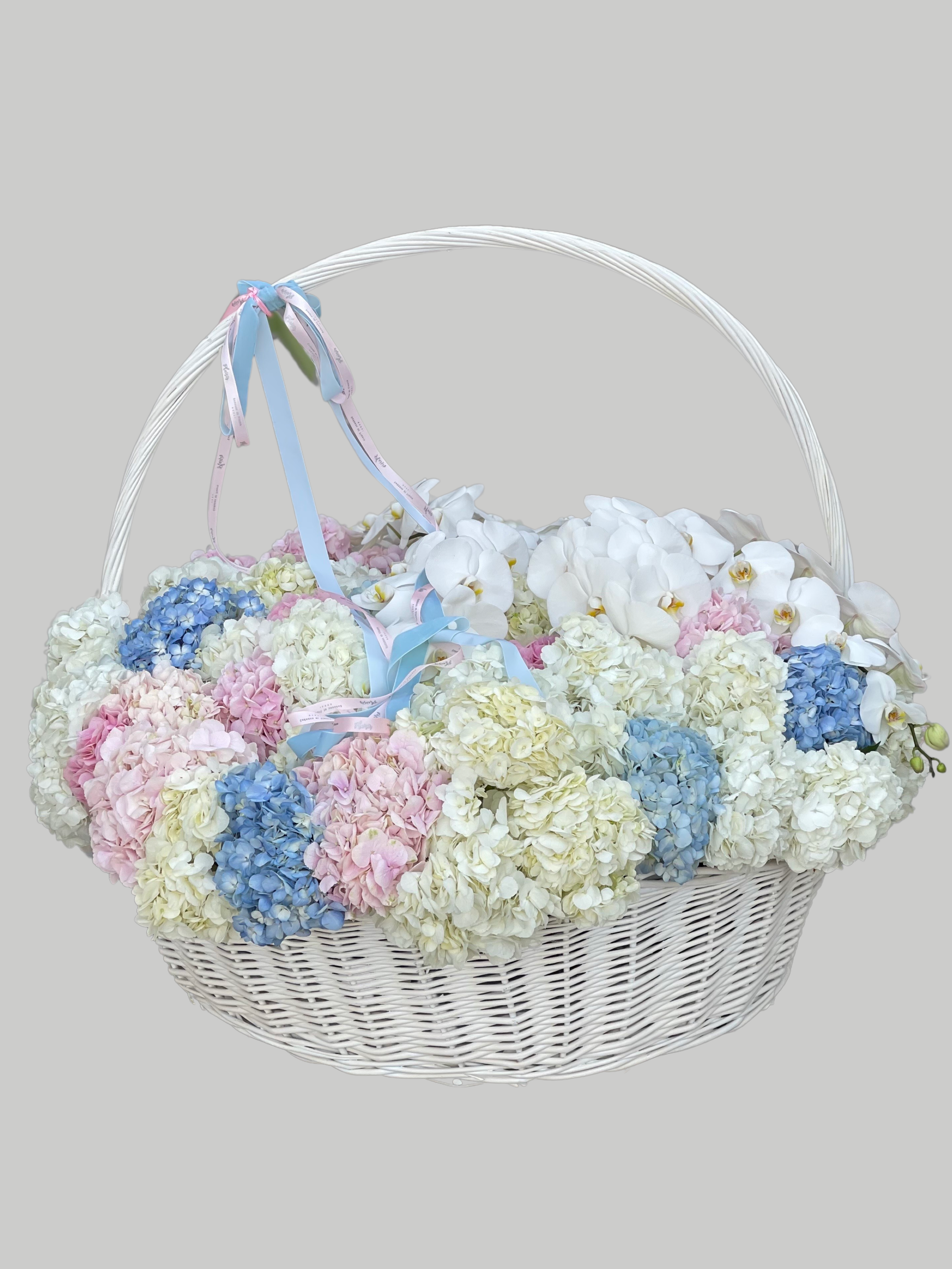 Extravagant Basket of Hydrangeas and Orchids (approx. ONE Meter!)