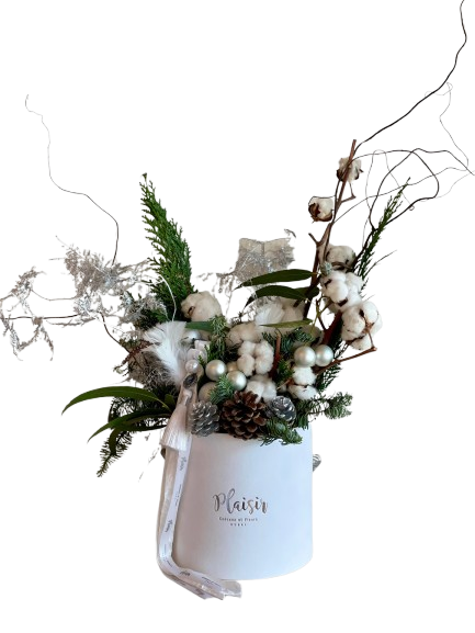 Christmas Festive Salix Arrangement