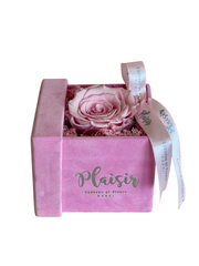 وردة إلى الأبد إنفينيتي - وردي واحد على وردي