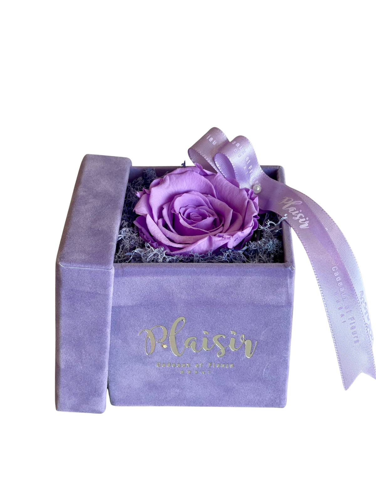 وردة إلى الأبد إنفينيتي - أرجوانية مفردة على أرجوانية