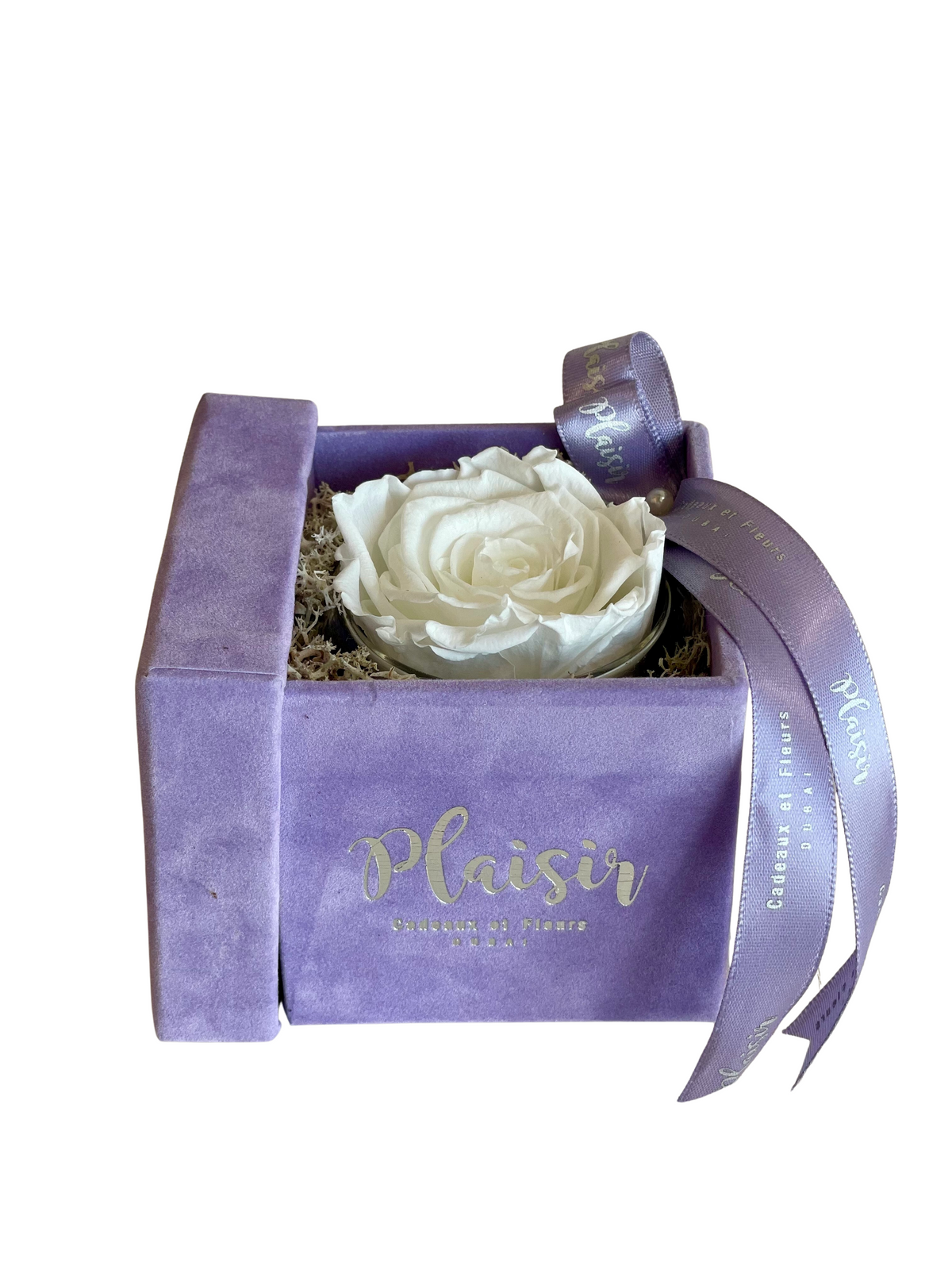 Forever Rose Infinity - Single White on Lilac