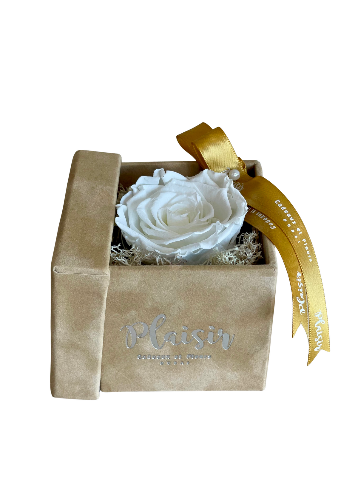 فوريفر روز إنفينيتي - لون أبيض مفرد على لون بني