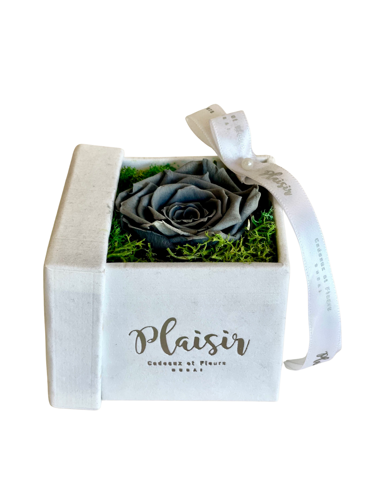 Forever Rose Infinity - Single Grey on White