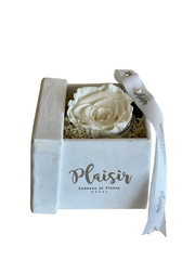 Forever Rose Infinity - Single White on White