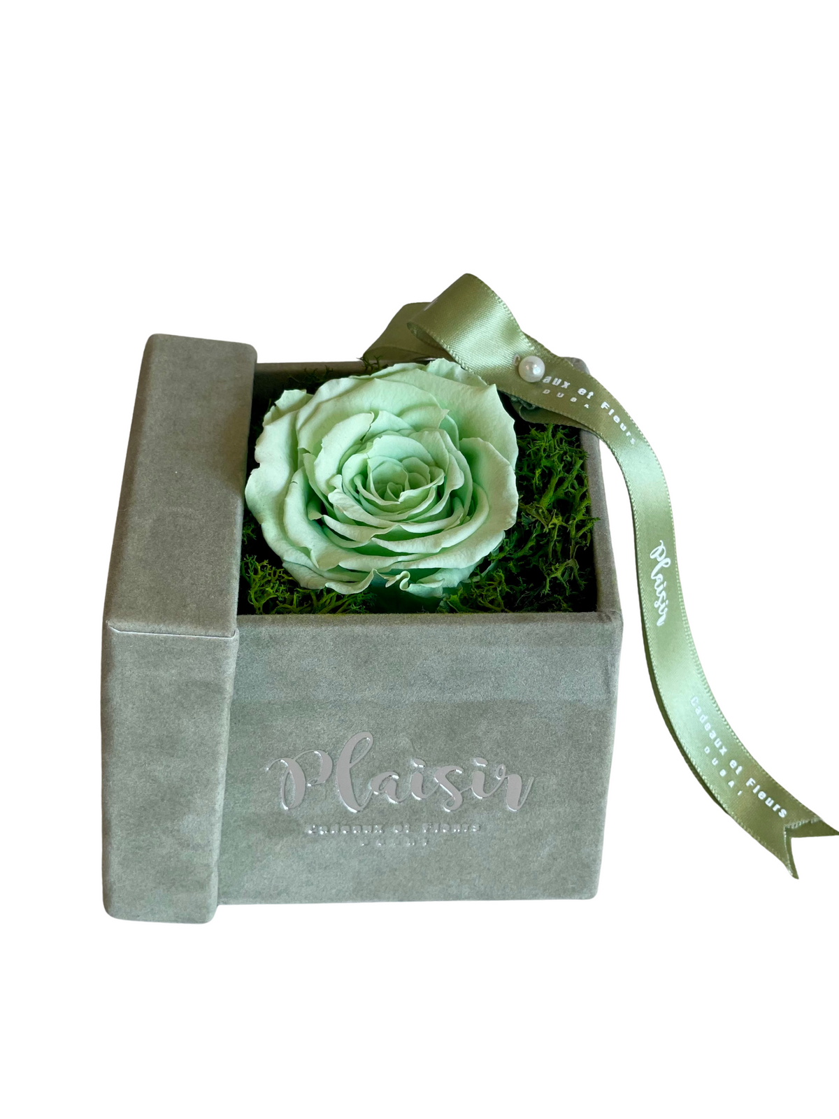 وردة إلى الأبد إنفينيتي - لون أخضر واحد على لون أخضر