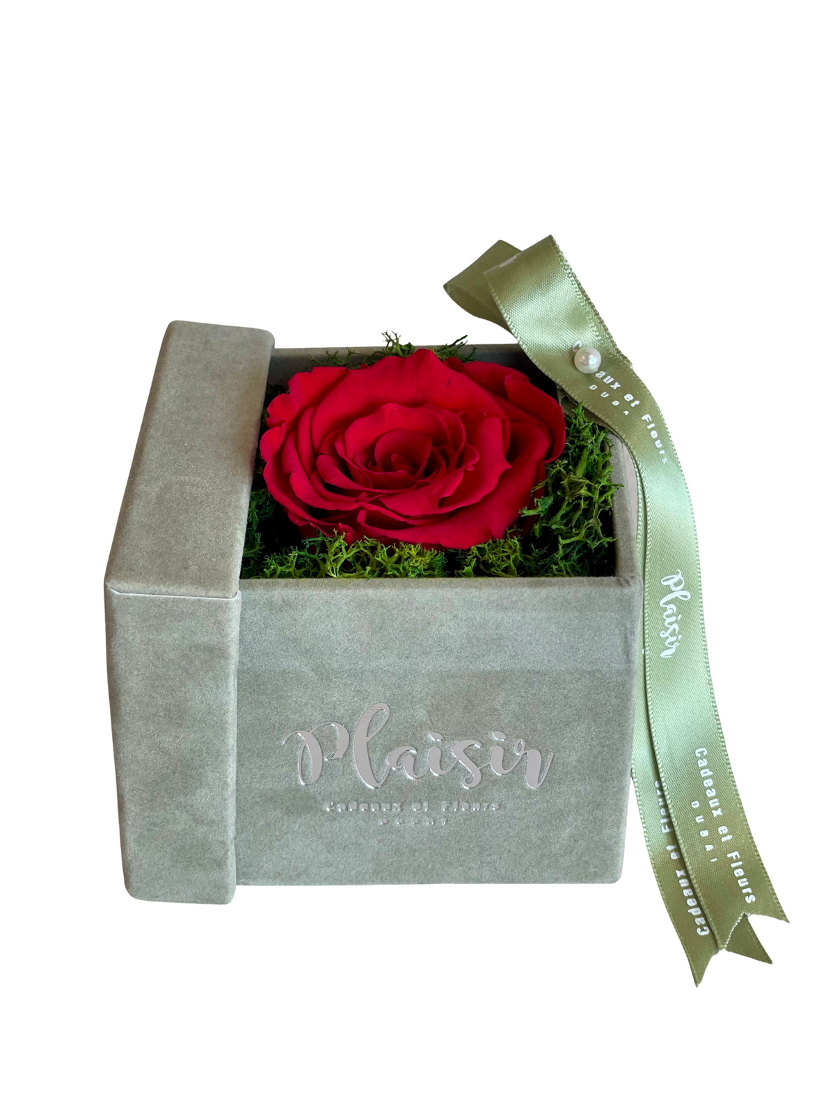 Forever Rose Infinity - Single Red on Olive