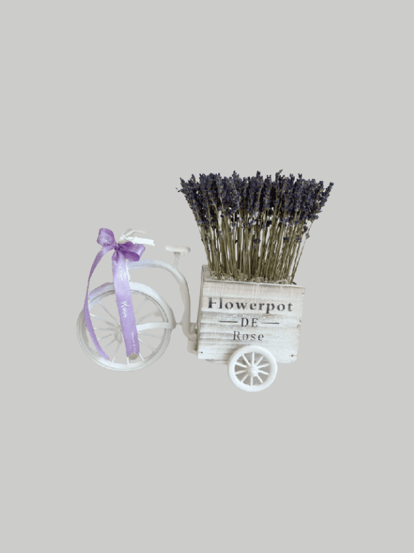 Lavender - Bicycle Arrangement