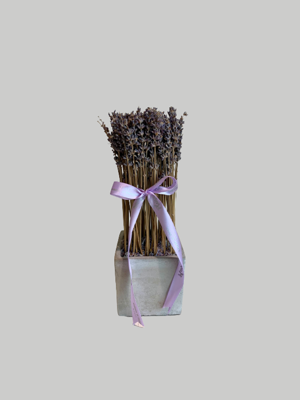 Lavender - Modern Square Pot