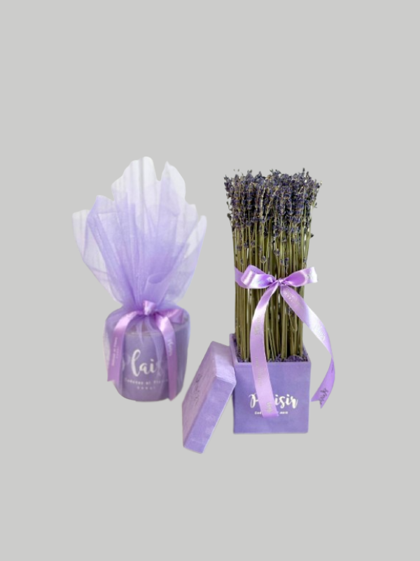 Giftset - Lavender Velvet and Candle Lilac