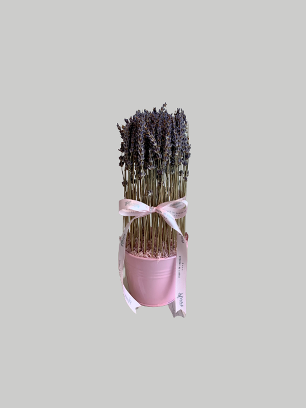 Lavender - Mini Pail