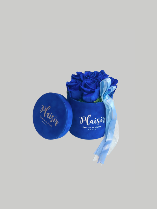 Forever Rose Infinity - Six Royal Blue