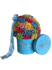 Velvet Gypso - Mini Rainbow